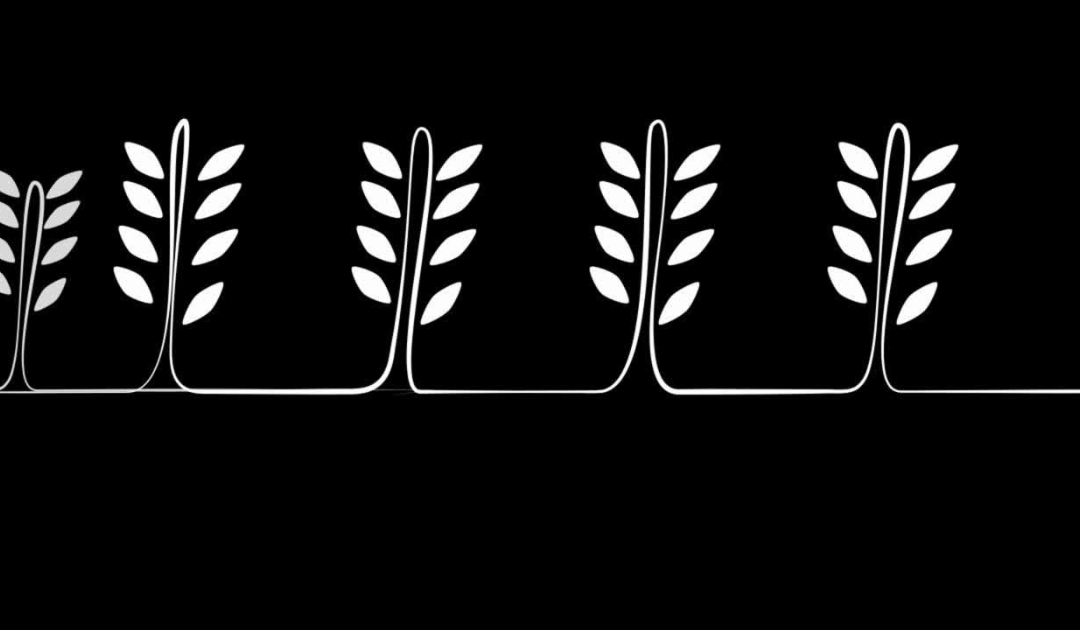 Video presentazione prodotti IUSVIA, tutte le caratteristiche del Pane Fermentato un pane prezioso indicato per i soggetti intolleranti al lievito e per le persone attente alla salute del microbiota.